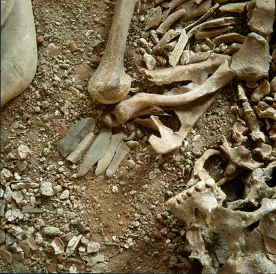 Prehistorie: dubbele begrafenis van volwassenen en kinderen (detail) door Prehistoric Prehistoric