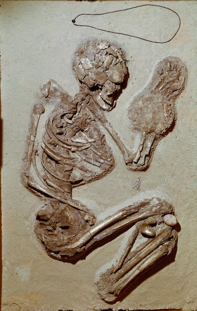 Prehistorie: vrouwelijk skelet daterend uit het Boven-Neolithicum. Cultuur van Chiozza. 2900-2700 v.Chr. Reggio Emilia, Musei Civici, Museo Chierici, Italië door Prehistoric Prehistoric