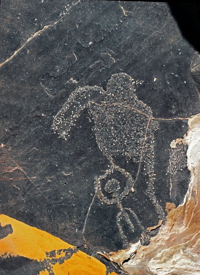 Prehistorie, rotstekeningen: een grafrots van een menselijke figuur. Steentijd 5000-2000 v.Chr. Taghit, Haut plateau du Hoggar (Ahaggar), Algerije door Prehistoric Prehistoric