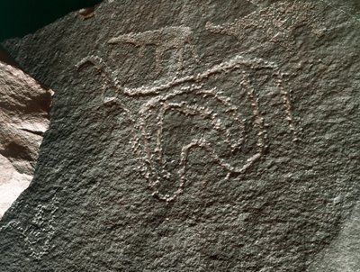 Prehistorie, rotstekeningen: een serieuze rots van de weergave van een vee. Tazina-stijl. Steentijd 5000-2000 v.Chr. Taghit, Haut plateau du Hoggar (Ahaggar), Algerije door Prehistoric Prehistoric