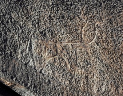 Prehistorie, rotstekeningen: een serieuze rots van de voorstelling van vee. Tazina-stijl. Steentijd 5000-2000 v.Chr. Taghit, Hoog plateau van de Hoggar (Ahaggar), Algerije door Prehistoric Prehistoric