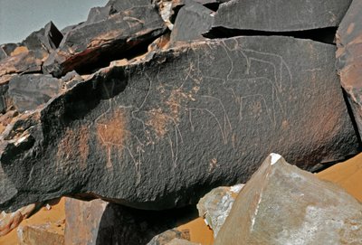 Prehistorie, rotstekeningen: grafrots met de voorstelling van vee door Prehistoric Prehistoric