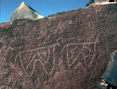 Prehistorie, rotstekeningen: grafrots met de voorstelling van vee. Tazina-stijl. Steentijd 5000-2000 v.Chr. Taghit, Hoog plateau van de Hoggar (Ahaggar), Algerije door Prehistoric Prehistoric