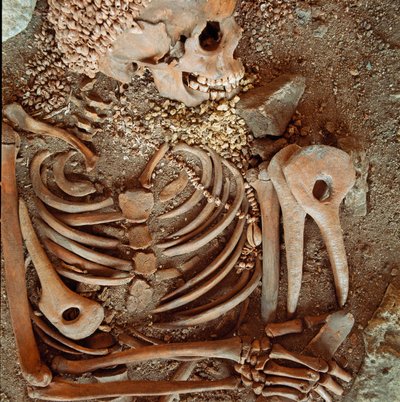 Prehistorie: skelet en grafgiften van tieners uit de grot van de Arene Candide (Finale Ligure): ketting van schelpen, hertshoorn en vuursteen. Steentijd, Boven-Paleolithicum. Genua, Museo di Archeologia Ligure door Prehistoric Prehistoric