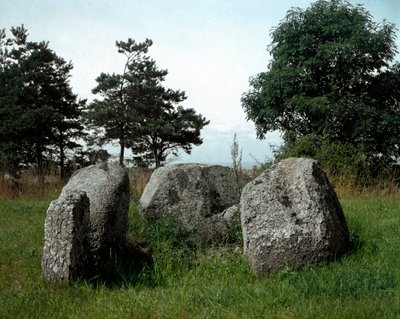 Prehistorie: uitzicht op de dolmen van Chianca met zijn ingangskorridor. Steentijd, Neolithicum. 6e-3e eeuw v.Chr. Bisceglie, Puglia, Italië door Prehistoric Prehistoric