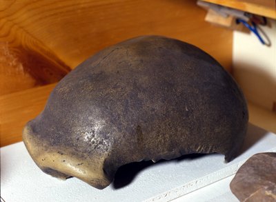 Schedel van de Neanderthaler, ontdekt in Duitsland in 1856. door Prehistoric Prehistoric