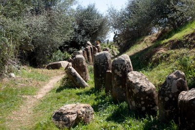 De archeologische site van cromlech M Zora, in Sidi El Yamani (Marokko). Neolithische grafheuvel (2000 v.Chr.), omringd door 167 monolieten. door Prehistoric Prehistoric
