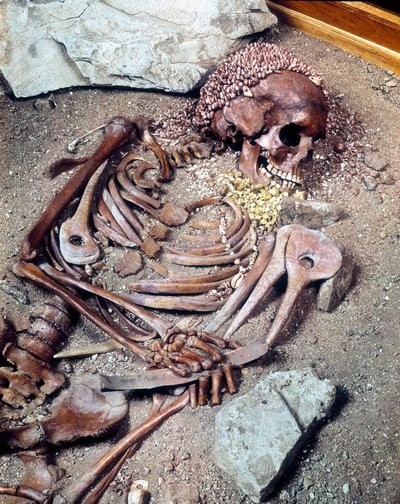 Graf uit het Boven-Paleolithicum. Skelet van de Combe Capelle etnische groep gevonden in de grot van Arene Candide bekend als de “jonge prins”, in Ligurië. 16610 jaar v.Chr. door Prehistoric Prehistoric