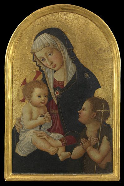 Maagd en Kind met een distelvink en de jonge Sint Jan door Pseudo Pier Francesco Fiorentino