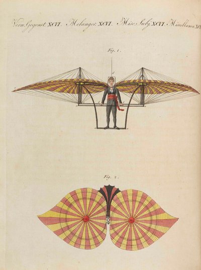 Kinderprentenboek Kinderencyclopedie door Friedrich Johann Justin Bertuch, 1798-1830 door Pupils of the Weimar Princely Free