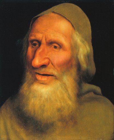 Hoofd van een Oude Man, ca. 1525 door Quentin Massys or Metsys