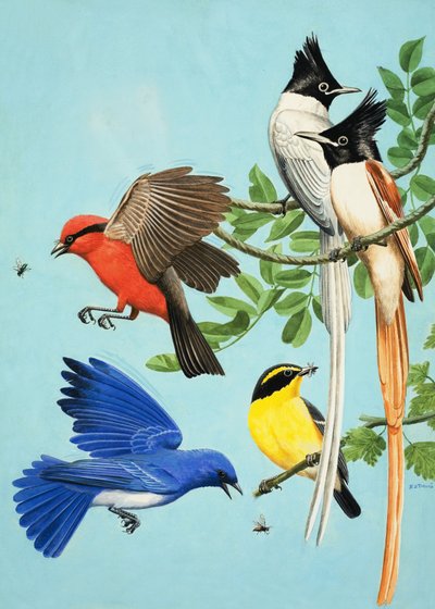 Felgekleurde vogels door R.B. Davis
