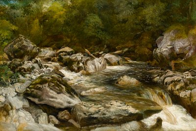 Waterval aan de rivier de Conway, Noord-Wales door R. Haddon