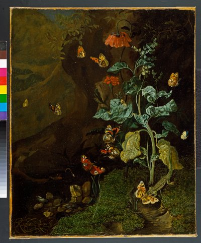 Stilleven met bloemen, vlinders en een hagedis in een dal, voor 1750 door Rachel Ruysch