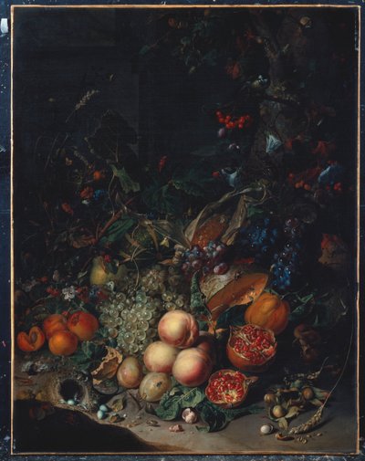 Perziken, Druiven, Granaatappels, Meloenen, een Maïskolf, Abrikozen, Pruimen, Peren, Eikels door Rachel Ruysch