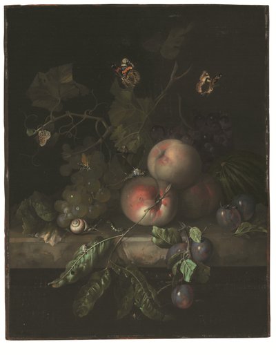 Perziken, druiven en pruimen met een libel, slak, rups, motten en andere insecten op een stenen richel door Rachel Ruysch