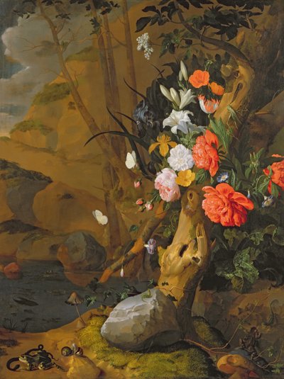 Onbekend Beeld door Rachel Ruysch