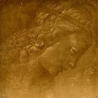 Studie van een engelenhoofd door Raffaellino del Garbo