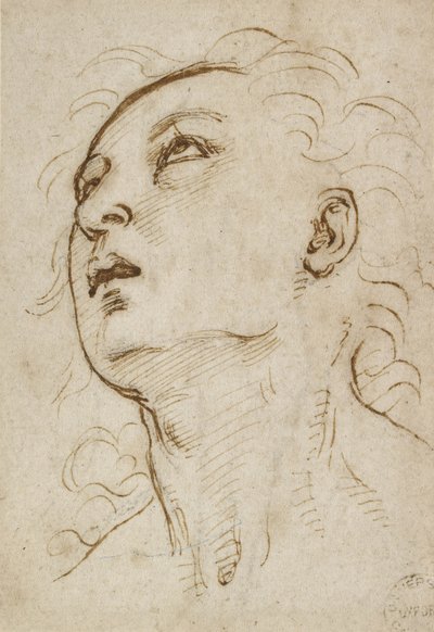 Hoofd van een jonge man die omhoog kijkt, ca. 1497-1504 door Raffaello Sanzio Raphael