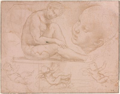 Studies van een zittende vrouw, kinderhoofd en drie studies van een baby, c. 1507-8 door Raffaello Sanzio Raphael