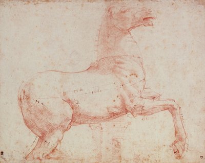 Studie voor Marmeren Paard van de Quirinal door Raffaello Sanzio Raphael