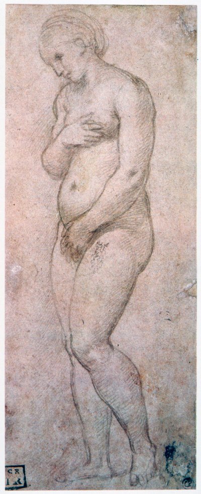 Studie van Venus, ca. 1500-1520 door Raffaello Sanzio Raphael