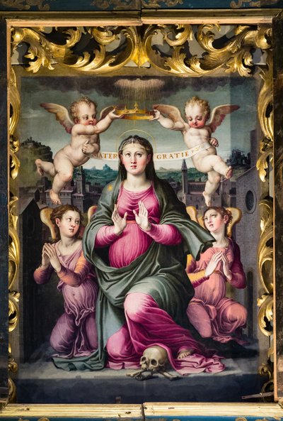 Madonna delle Grazie door Raffaello dal Colle