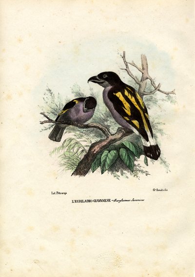 Breedbekken, 1863-79 door Raimundo Petraroja