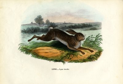 Berg Haas, 1863-79 door Raimundo Petraroja