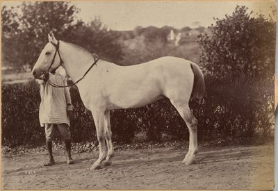  door Raja Deen Dayal