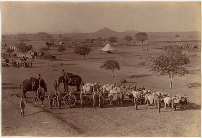 Zware veldbatterij, Jhansi door Raja Deen Dayal