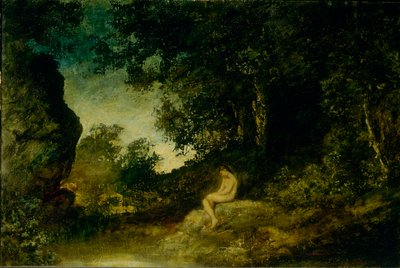 Aan de spiegel van de natuur door Ralph Albert Blakelock