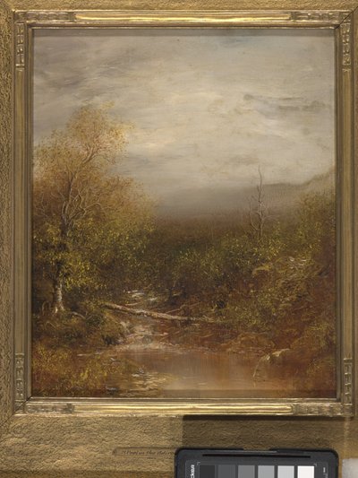 Vijver in de Adirondacks door Ralph Albert Blakelock