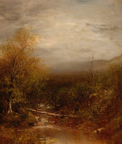Zwembad in de Adirondacks door Ralph Albert Blakelock