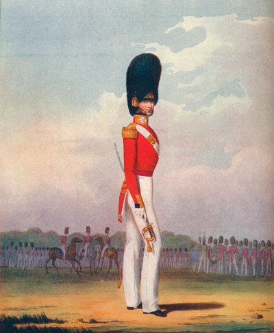 Officier, Grenadier Guards door Ralph Nevill