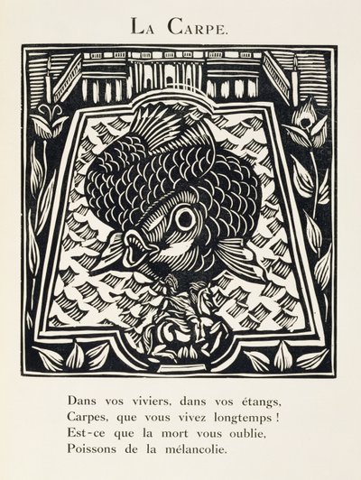De karper, illustratie uit 