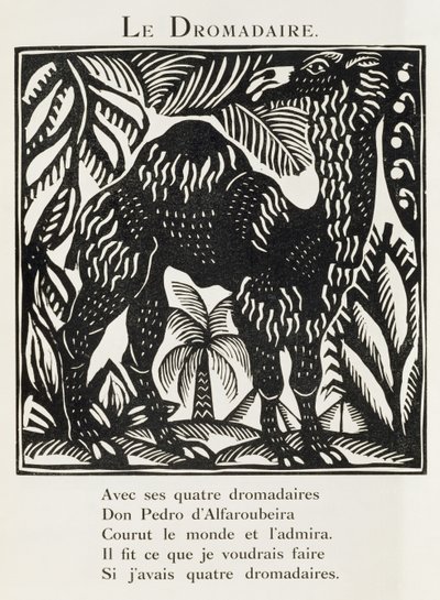 De Dromedaris, illustratie uit 