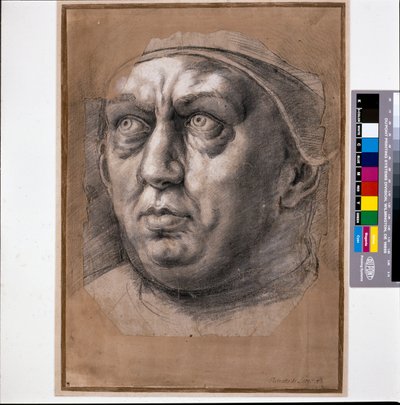 Paus Leo X door Raphael (1483 1520)