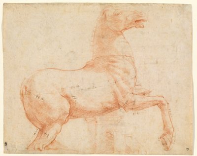 Een marmeren paard op de Quirinal Hill (recto), c.1513 door Raphael (1483 1520)