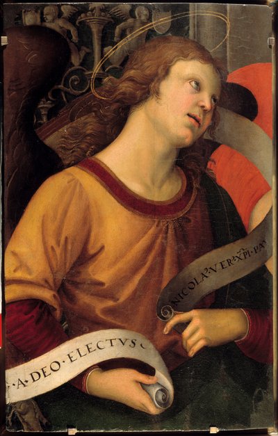 Een engel. Fragment van het altaarstuk van Baronci door Raphael