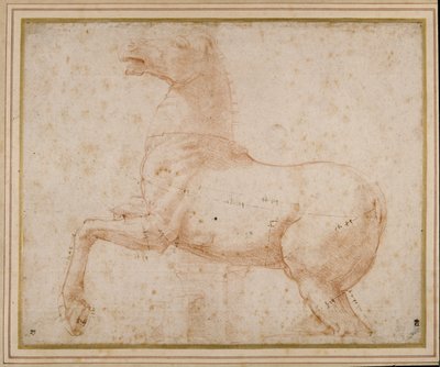 Studie van een paard door Raphael