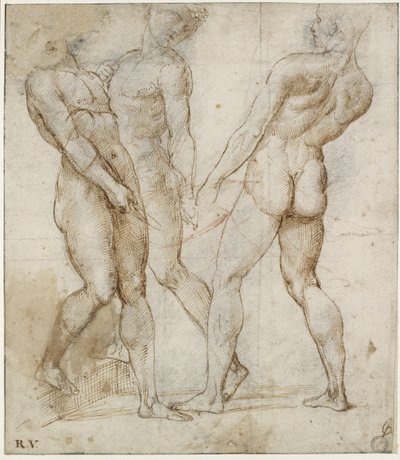 Drie naakte dragers (studie voor de Graflegging van Christus) (detail) door Raphael
