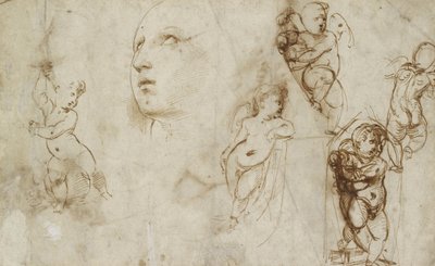 Diverse studies, voornamelijk voor de Borghese-Beckford St. Catherine door Raphael