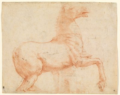 Een marmeren paard op de Quirinal-heuvel door Raphael