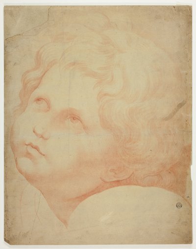 Kinderhoofdje, omhoog kijkend door Raphael
