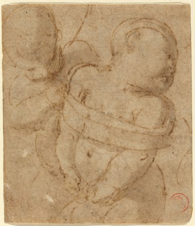 Gebonden Cupido door Raphael
