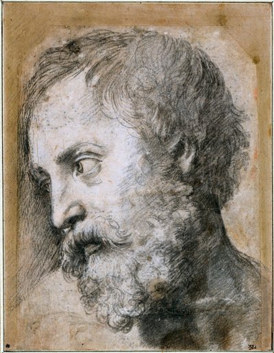 Hoofd van een Apostel Studie voor Transfiguratie door Raffaello Sanzio Raphael