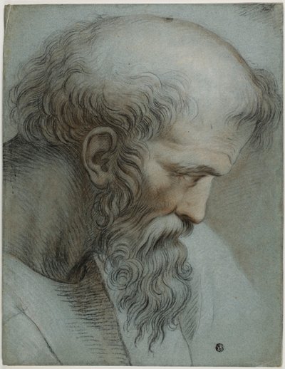 Hoofd van Pythagoras door Raphael