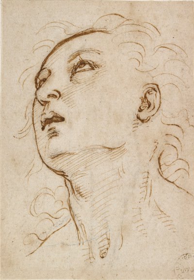 Hoofd van een jonge Man die omhoog kijkt, ca. 1497-ca. 1504 door Raphael