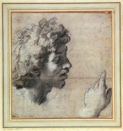 Studies van een mannenhoofd en hand door Raphael